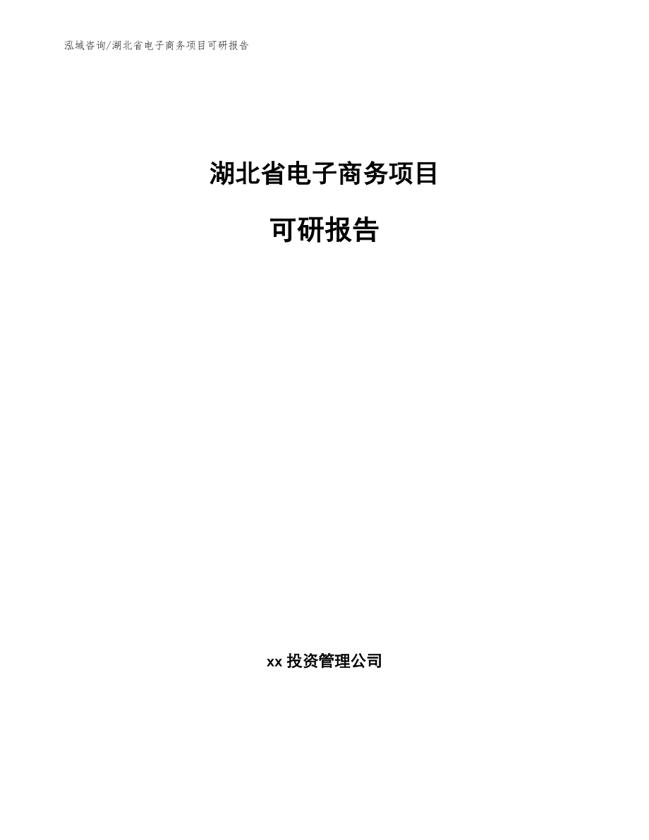 湖北省电子商务项目可研报告【模板范本】_第1页