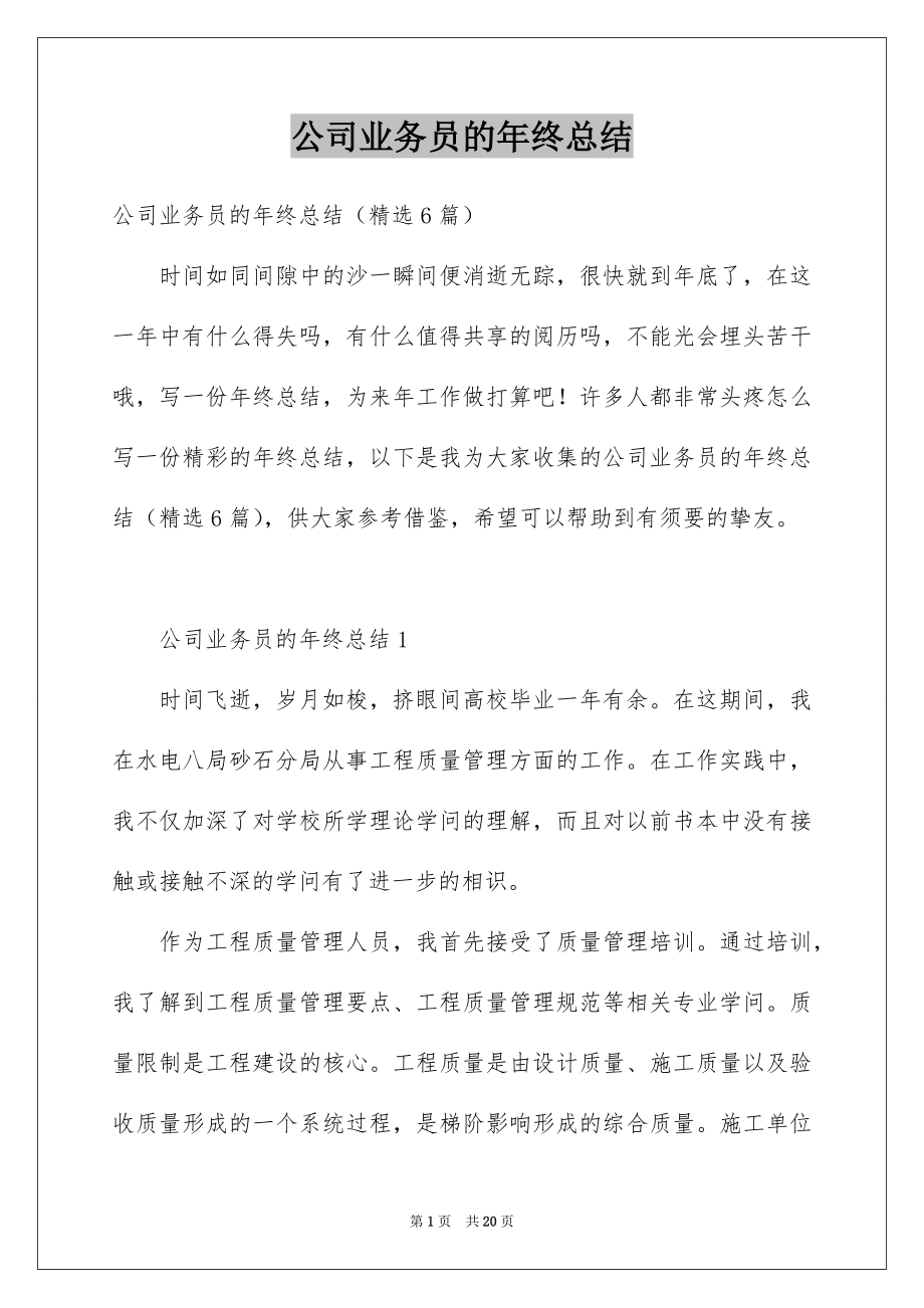 公司业务员的年终总结_第1页