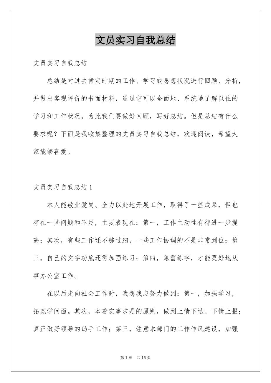 文员实习自我总结_第1页