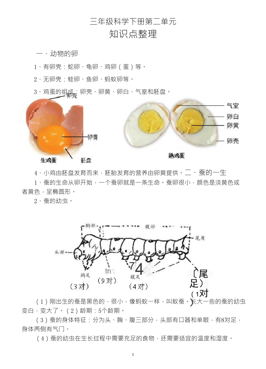 小學(xué)科學(xué)教科版三年級(jí)下冊(cè)第二單元《動(dòng)物的一生》知識(shí)點(diǎn)整理_第1頁(yè)