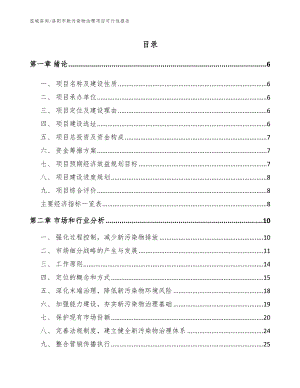 洛阳市新污染物治理项目可行性报告参考模板