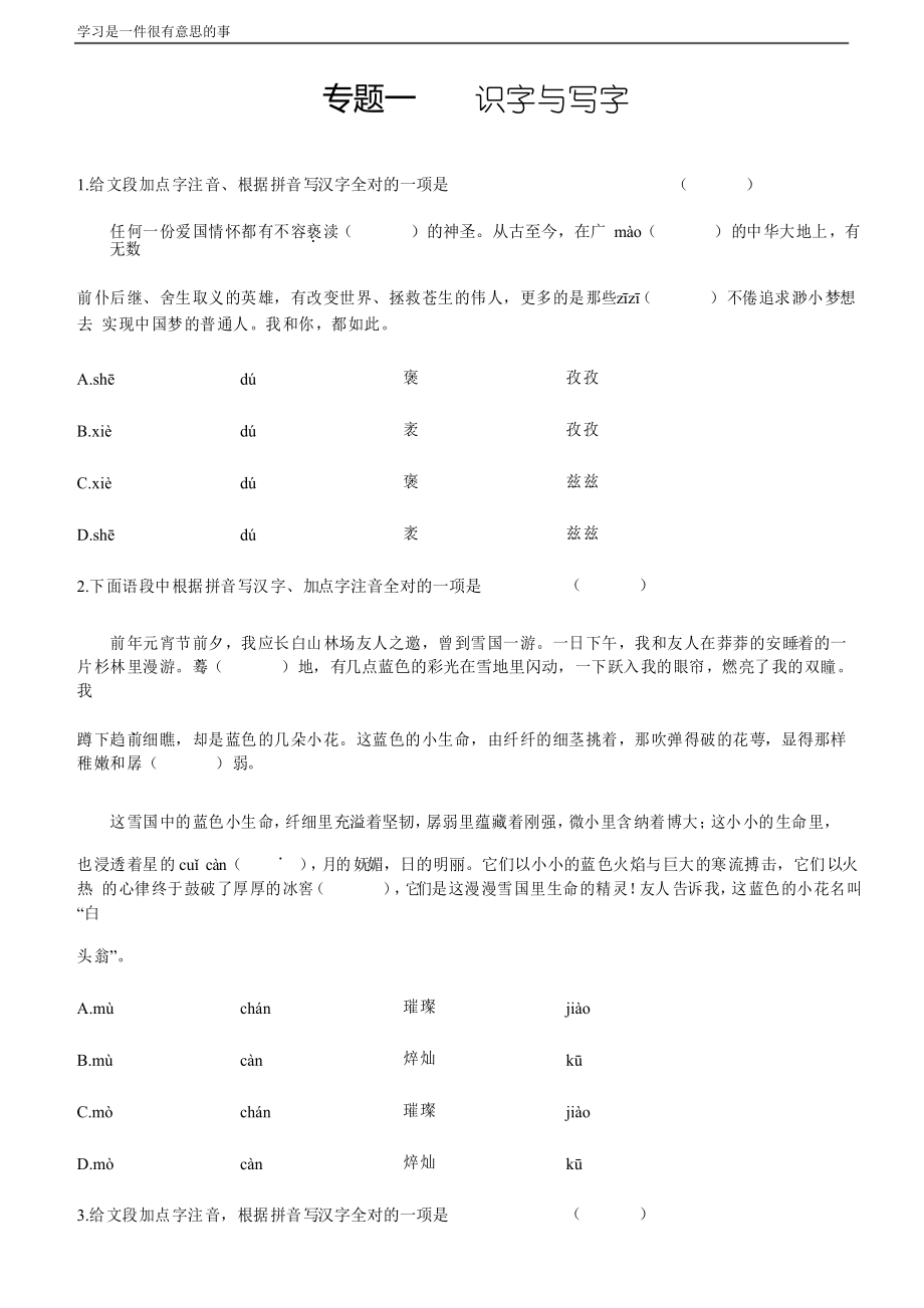 2021年中考語文專題復(fù)習(xí)訓(xùn)練專題1 識(shí)字與寫字_第1頁