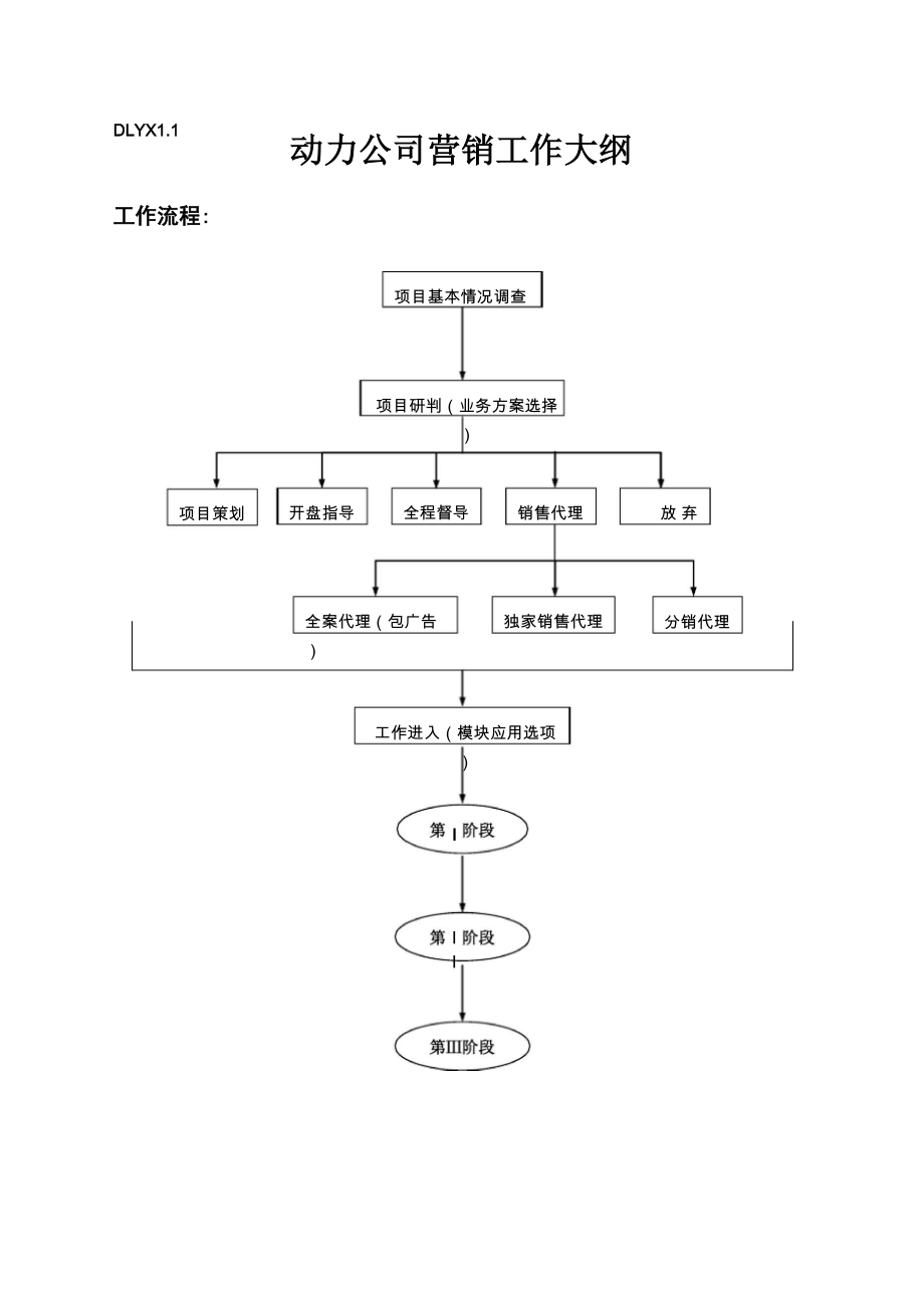 DLYX11动力公司营销工作大纲_第1页