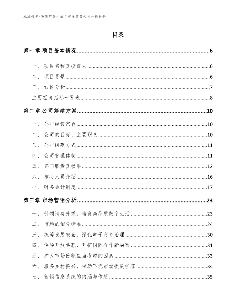 陇南市关于成立电子商务公司分析报告_第1页
