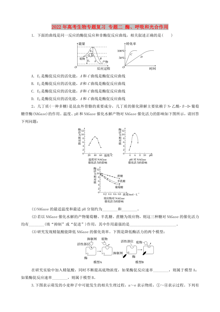 2022年高考生物专题复习 专题二 酶、呼吸和光合作用_第1页