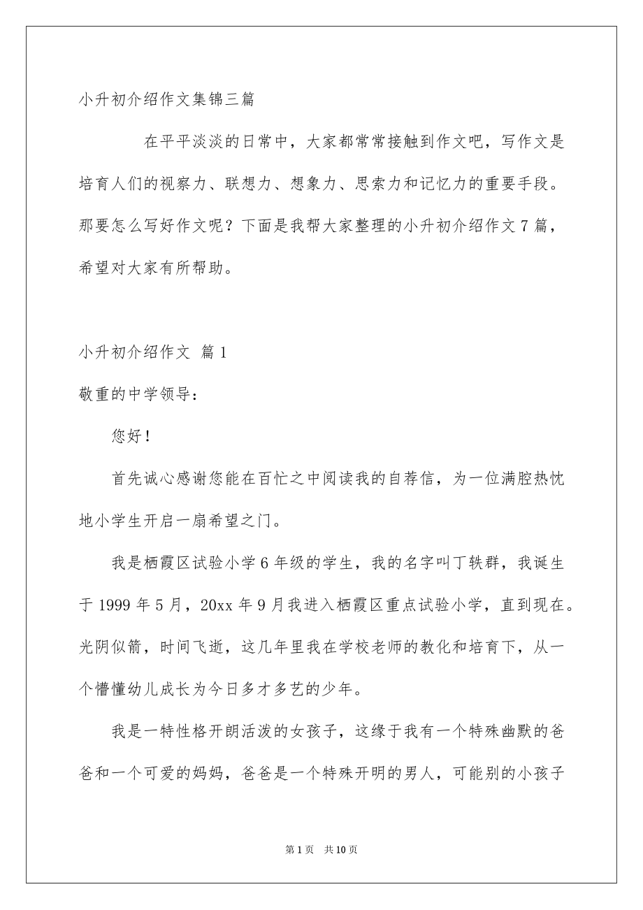 小升初介绍作文集锦三篇_第1页