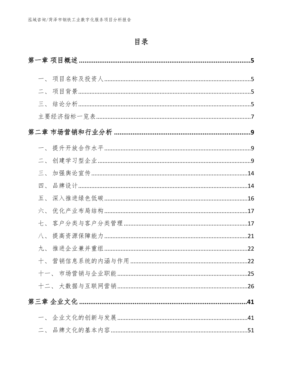 菏泽市钢铁工业数字化服务项目分析报告模板参考_第1页