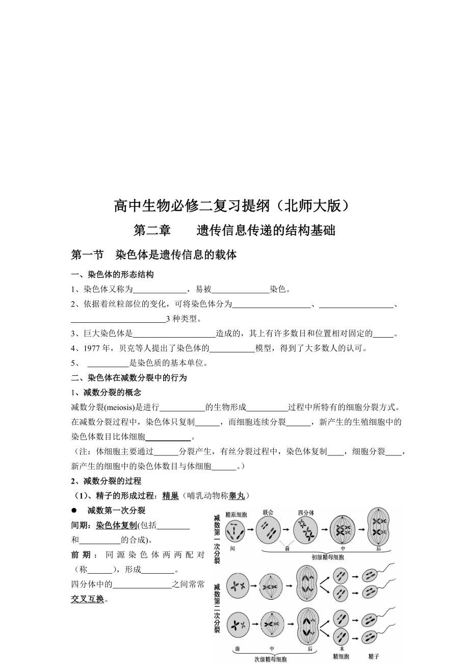 高中生物必修二北师大版复习提纲(参照人教版整理)合集_第1页