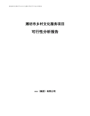潍坊市乡村文化服务项目可行性分析报告_范文