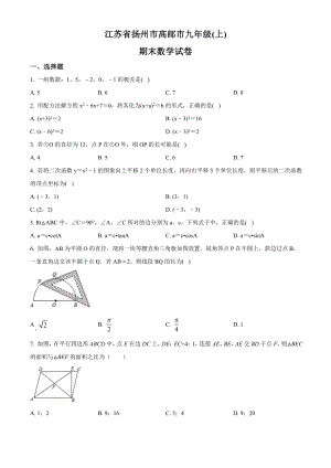九年级数学上册通用版·江苏省扬州市高邮市期末试卷附答案
