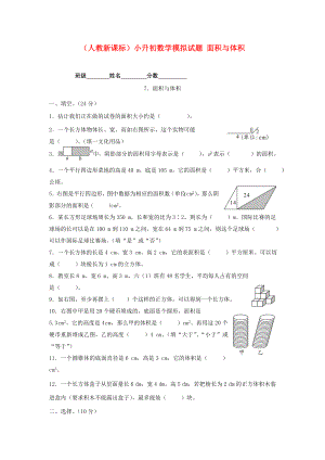 六年級數(shù)學 小升初數(shù)學模擬試題 面積與體積（無答案） 人教新課標版