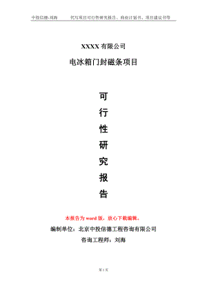 电冰箱门封磁条项目可行性研究报告模板备案审批定制代写