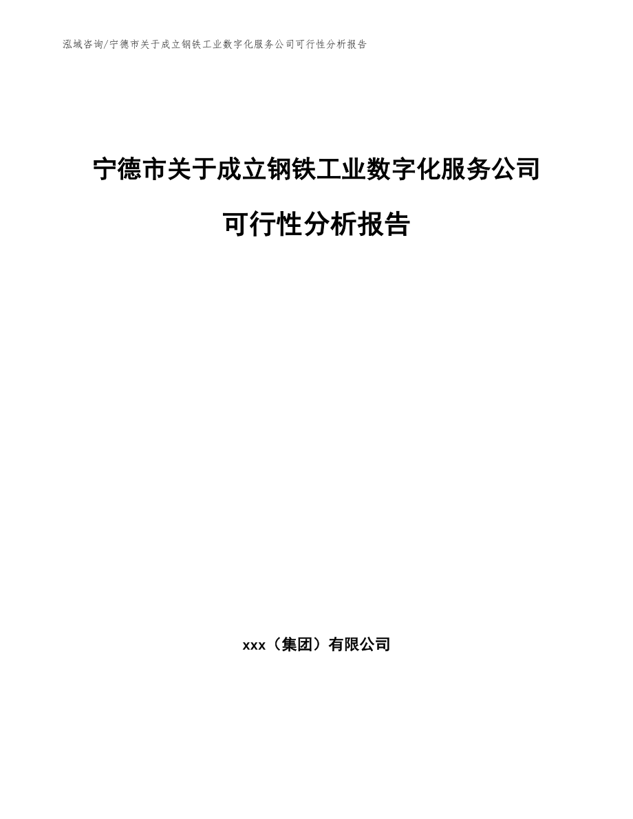 宁德市关于成立钢铁工业数字化服务公司可行性分析报告_模板范本_第1页