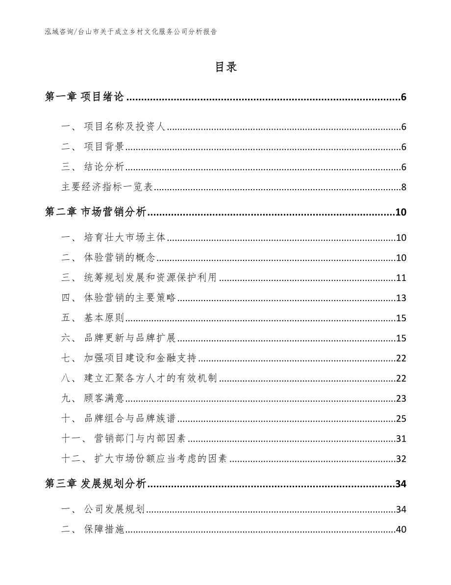 台山市关于成立乡村文化服务公司分析报告_第1页