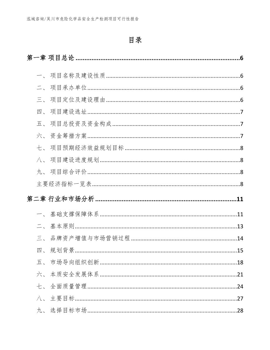 吴川市危险化学品安全生产检测项目可行性报告_第1页