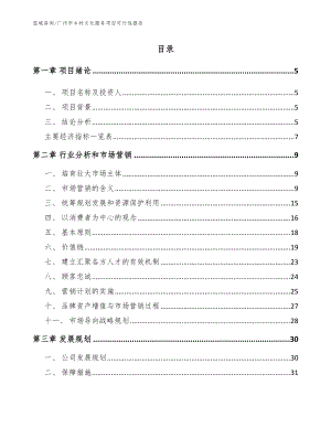 广州市乡村文化服务项目可行性报告模板