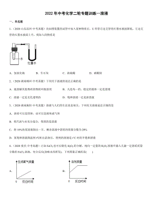 2022年中考化學(xué)二輪專題訓(xùn)練 溶液(word版有答案)