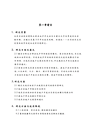 北京北辰集团发展战略报告