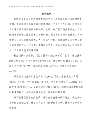 安庆市关于成立钢铁工业数字化服务公司可行性分析报告范文参考